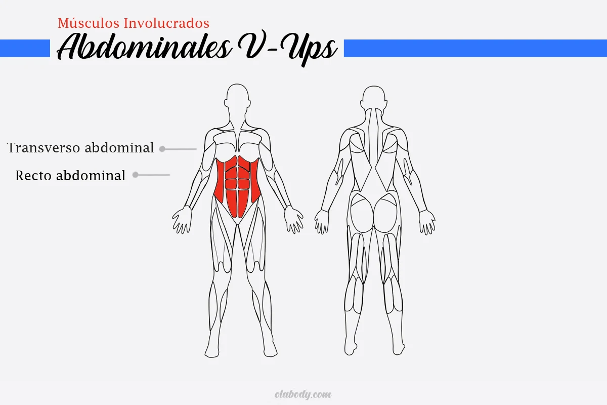 Músculos Involucrados Abdominales V-Ups