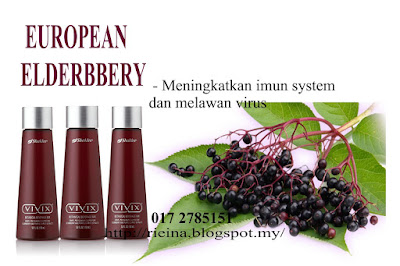 ELDERBERRY EUROPEAN