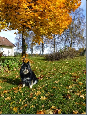 12.oktober 027
