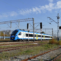 Kielce Herbskie w żółtch kolorach liści