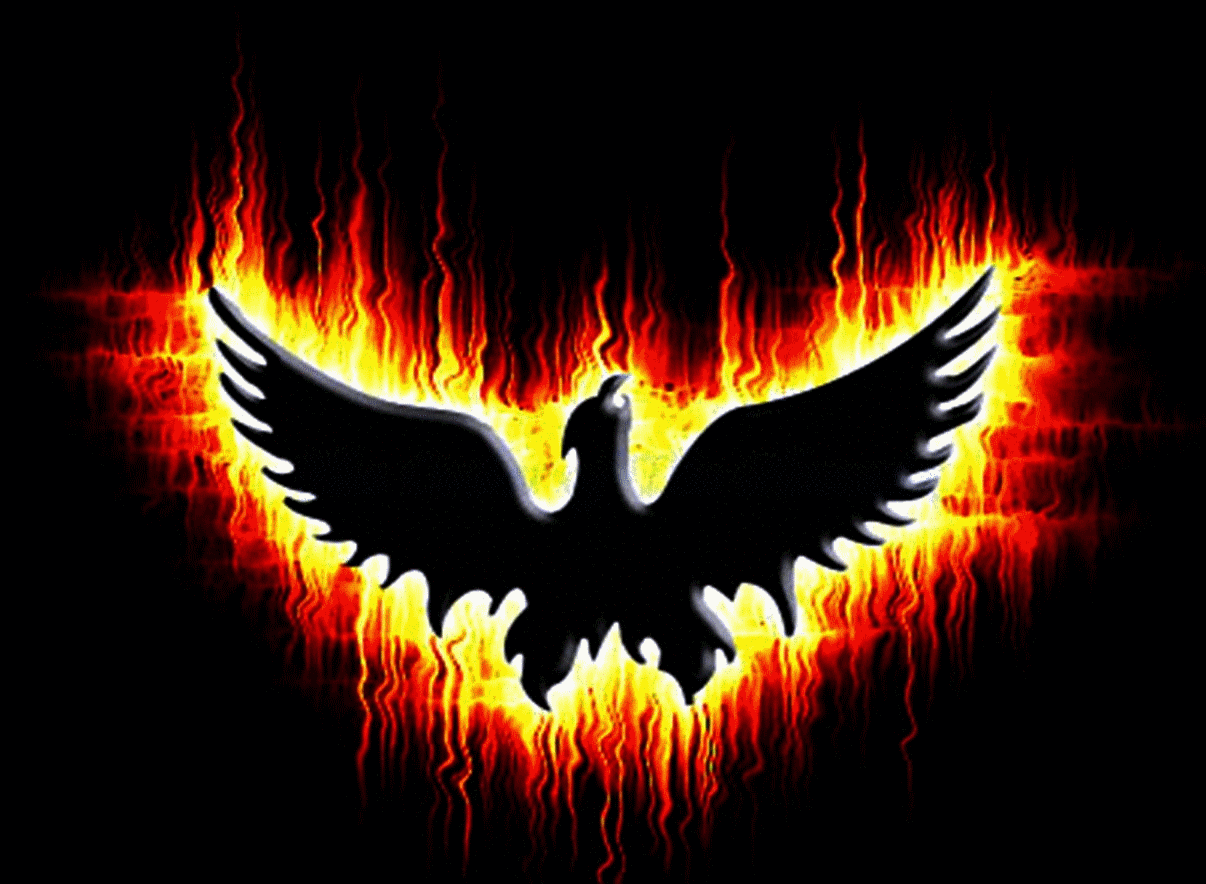 Gambar Burung  Phoenix  Biru Gambar Burung 