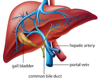 Hepatitis B