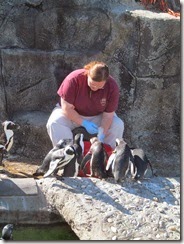 zoo with meme 004