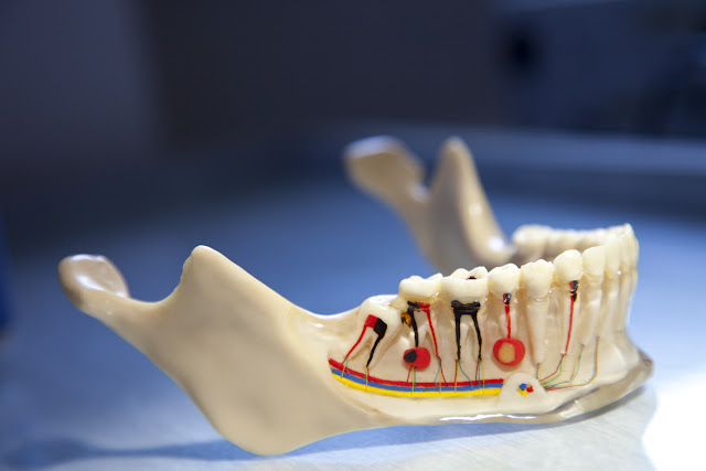 root-canal-therapy-Pennsylvania