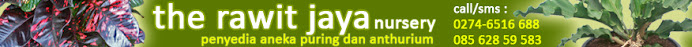gudang puring