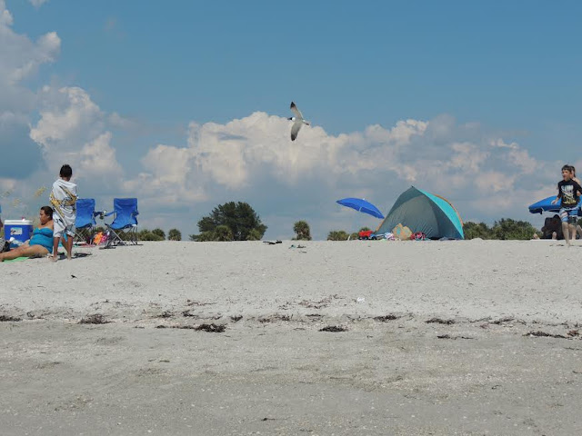Sand Key Park Clearwater Florida