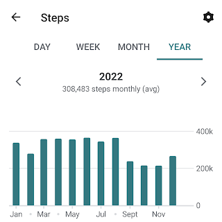 A bar graph from my Fitbit app data showing my walking steps for 2022.