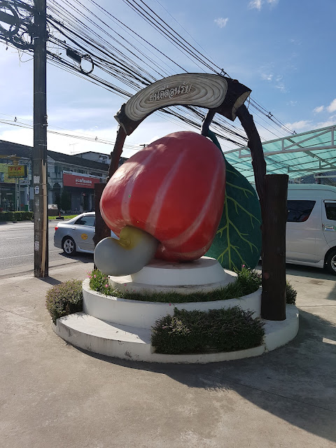 thailand, phuket, cashew nut factory