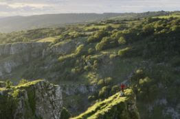 Cheddar Gorge