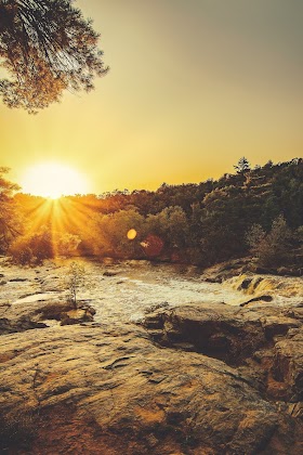    Short story: The Quiescent Afternoon