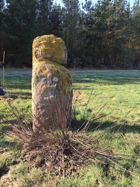 Megalithican Iberia: Menhir of Pedra Chantada / Menhir de Pedra Chantada en Santaballa (Vilalba, Lugo) by E.V.Pita (2017)  http://archeopolis.blogspot.com/2017/01/megalithican-iberia-menhir-of-pedra.html