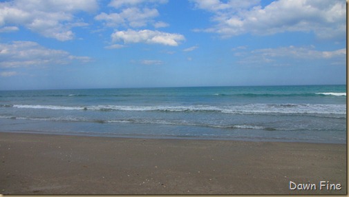 Hutchinson Island_012