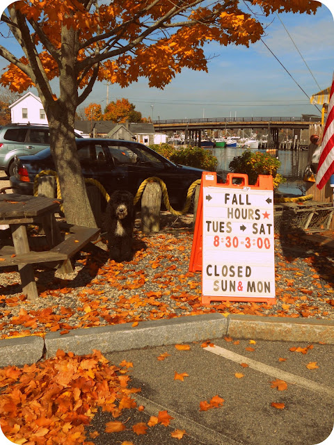 Autumn and Halloween in Cape Cod