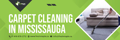 Carpet%20Cleaning%20in%20Mississauga%202.jpg