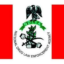 Recruitment: NDLEA assures applicants of seamless online application 