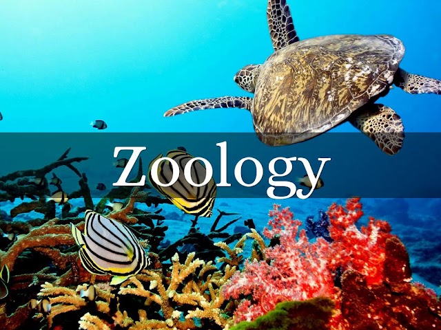 Zoology : POS and COS