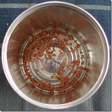 It seems like slim-pickings, but when one plants only thirty or forty tomato plants each year, this is more than enough seed to carry a home gardener into the next season.