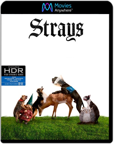 Strays (2023) 2160p DV HDR MA WEB-DL Dual Latino-Inglés [Subt. Esp] (Comedia. Humor Negro)