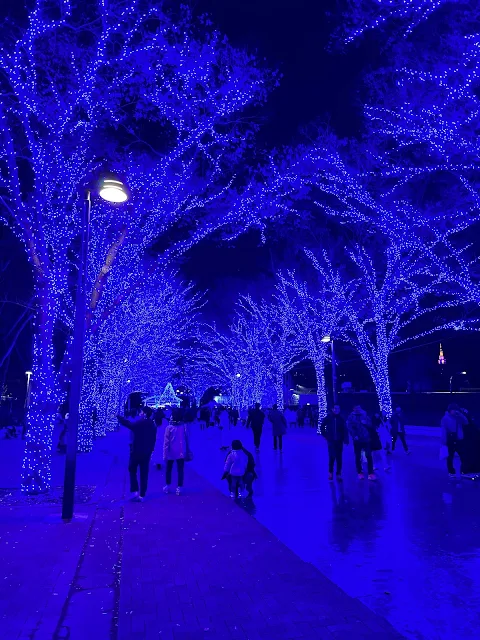 青の洞窟 SHIBUYA 2023