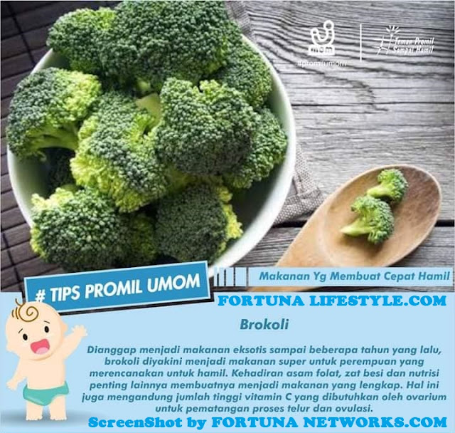 <img src="Advice & Tips #Pre-Pregnancy .jpg" alt="#15 List Makanan Agar Wanita Cepat Hamil Dan Terbukti Menyuburkan Kandungan ">