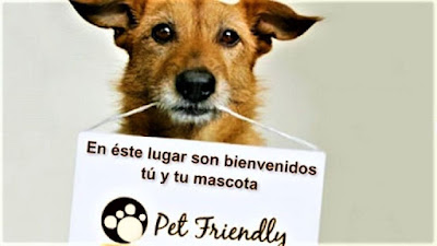 Colorado destino Pet Friendly