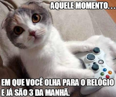 gato jogando no play