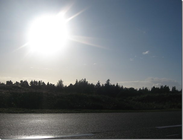 blåvand november 042