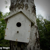 Building Bird Houses
