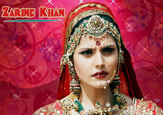 Zarine Khan HD Wallpaper Free