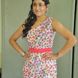 Manisha Yadav Photos in Floral Short Dress at Preminchali Movie Press Meet 68 