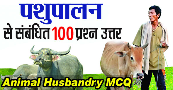 Animal Husbandry MCQ in Hindi