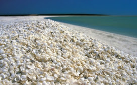 La playa más maravillosa de Australia