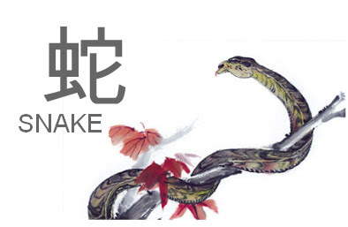 Snake Chinese Zodiacs Animals