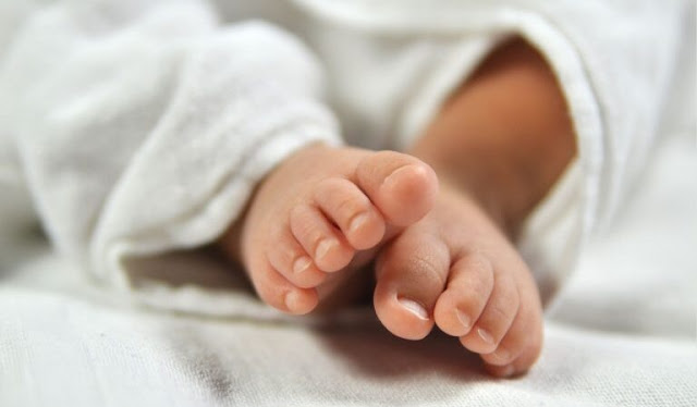 Bebê recém-nascido é encontrado abandonado dentro de caixa de sapato no RN, diz Polícia Civil