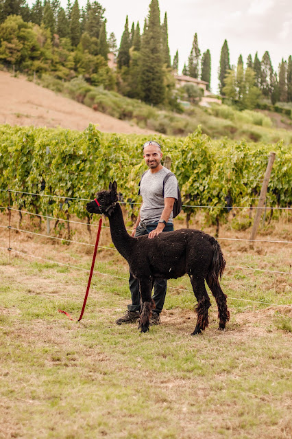 toscana alpaca