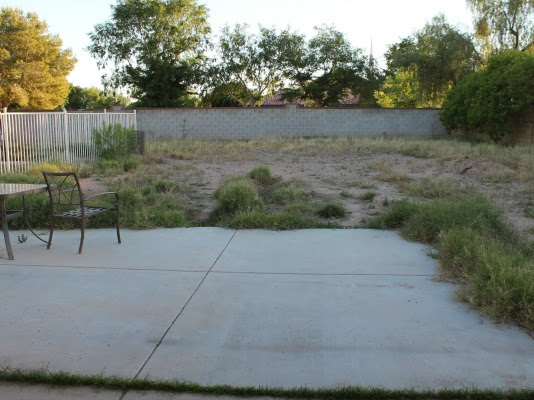 Backyard Landscaping Project: The Before