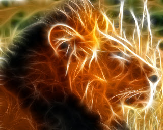 3D Lion wallpaper