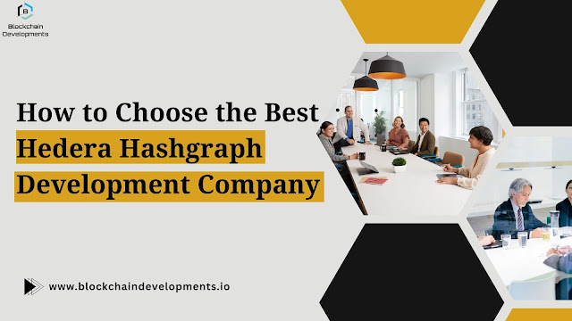 Hedera Hashgraph development company