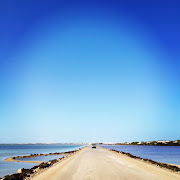 . of about twenty kilometres heads south to the legendary Cactus Beach.