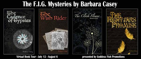 FIG Mysteries Banner