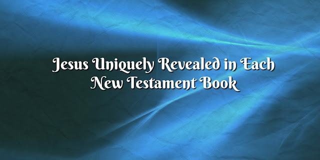 Christ Uniquely Revealed in Every New Testament Book. Inspiring!