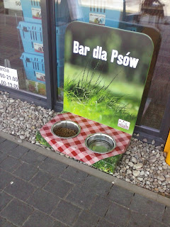 Bar dla psów 