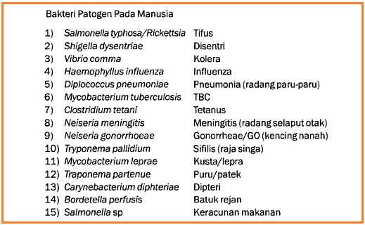 Hanya Yang Belajar Yang Berhasil: Menjelaskan peran Virus 