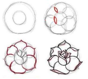  Cara Menggambar 10 BUNGA Terkenal di Dunia Flora drawing 