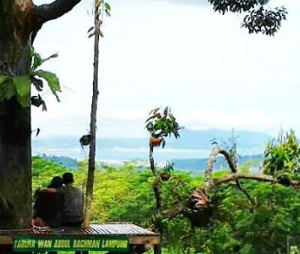 Keindahan pegunungan & teluk lampung berdasarkan atas rumah pohon tahura war lampung