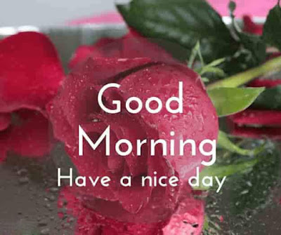 60+ Good morning wishes images for Fb Dpz whatsapp Status Free