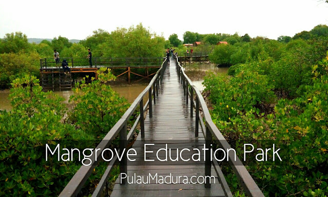 Mangrove Education Park - Labuhan Bangkalan