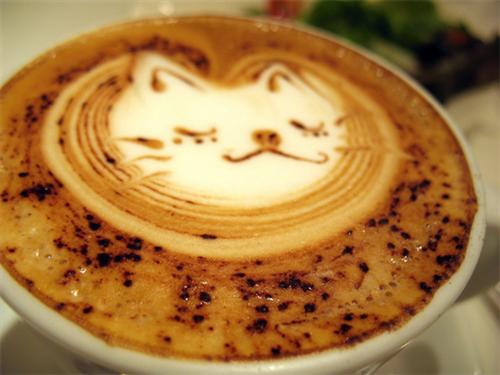 Delicious Coffee Latte Art - Too Beautiful to Drink Foam Cream