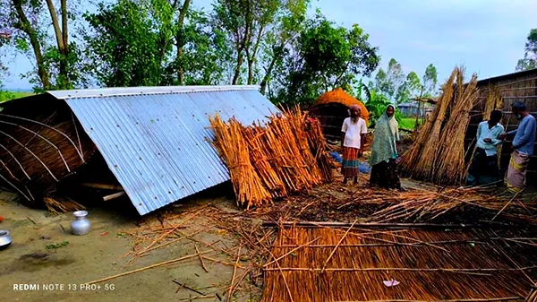 ইসলামপুরে ঘূর্ণিঝড়ে লন্ডভন্ড ৫ শতাধিক ঘরবাড়ি