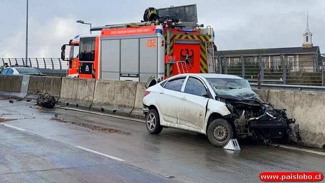 camión con automóviles